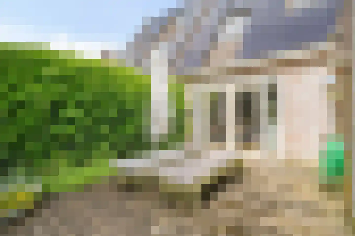 Vledderinge 14 Zuidlaren thumbnail 31