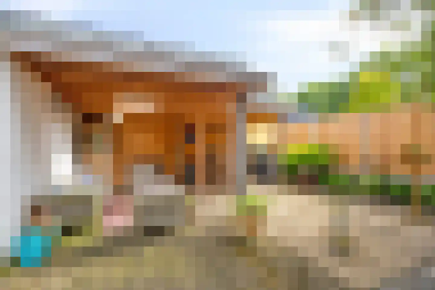 Vledderinge 14 Zuidlaren thumbnail 32