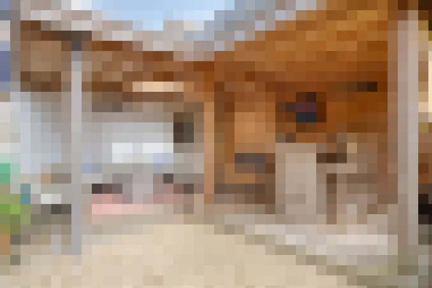Vledderinge 14 Zuidlaren thumbnail 34