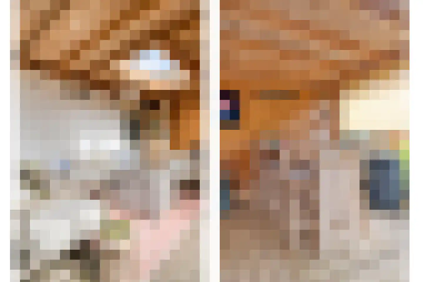 Vledderinge 14 Zuidlaren thumbnail 36