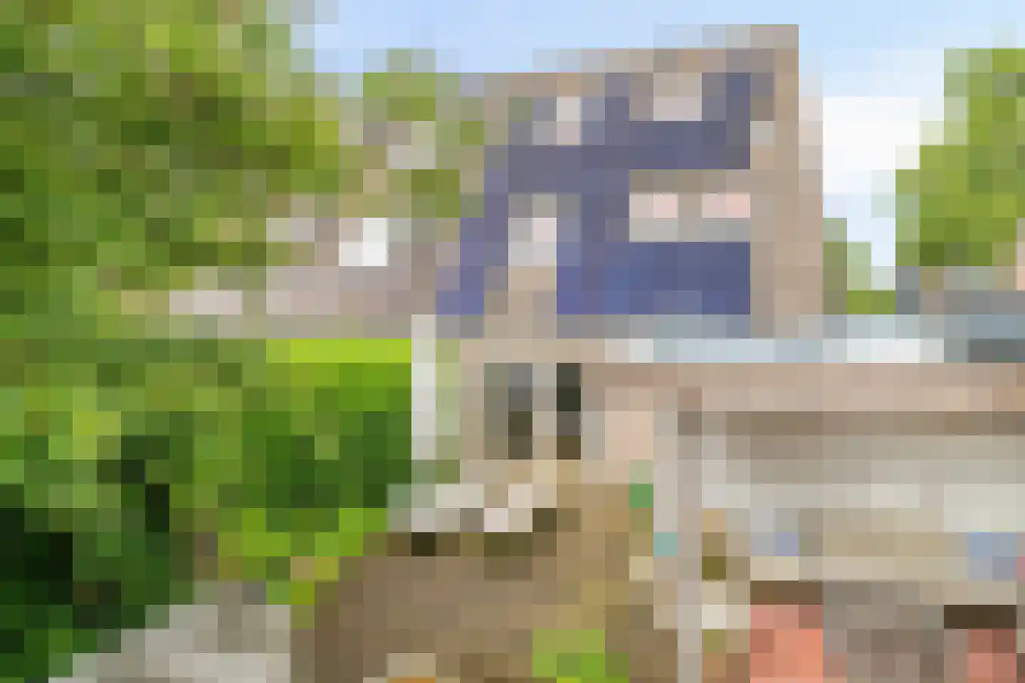 Vledderinge 14 Zuidlaren thumbnail 39