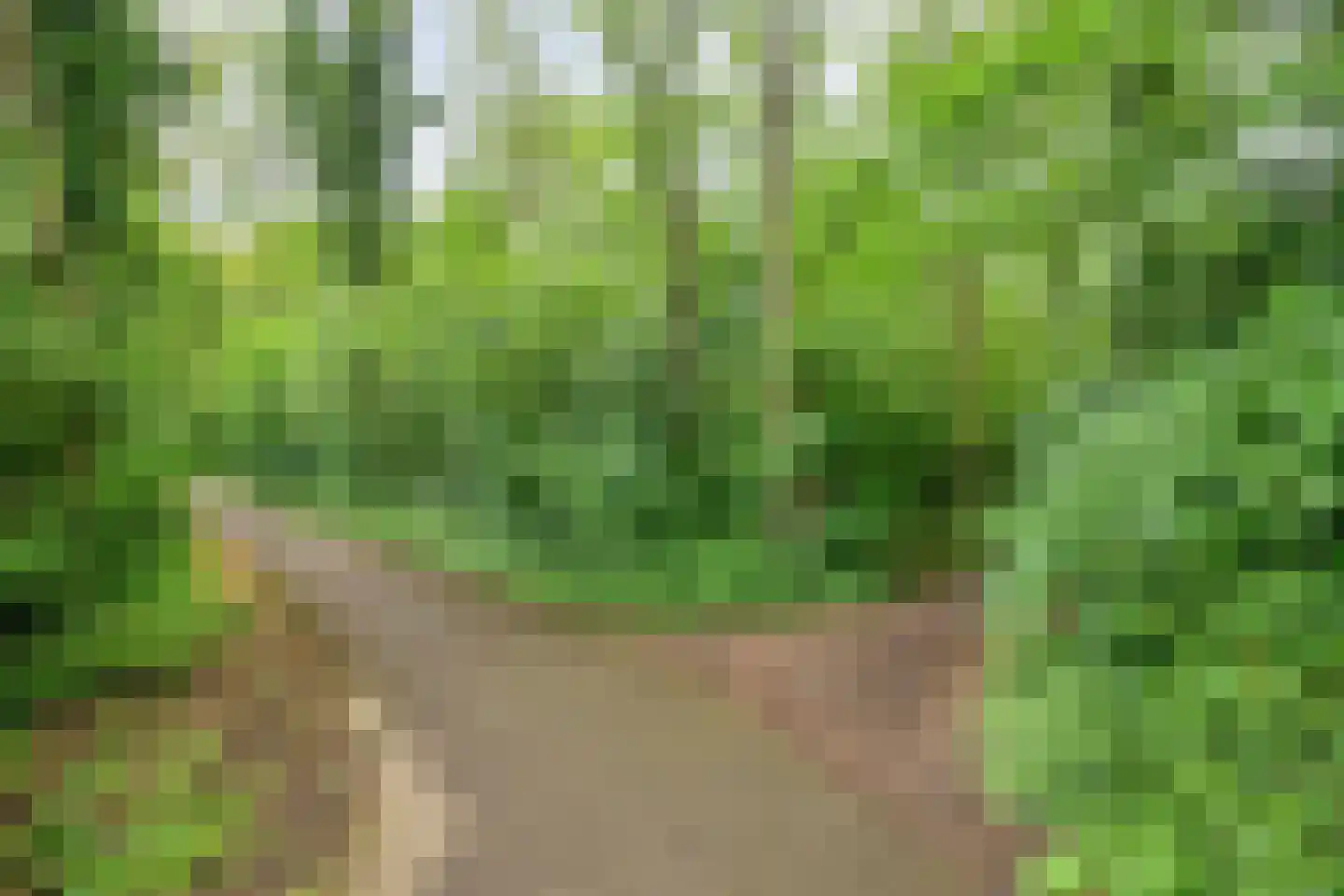 Vledderinge 14 Zuidlaren thumbnail 43