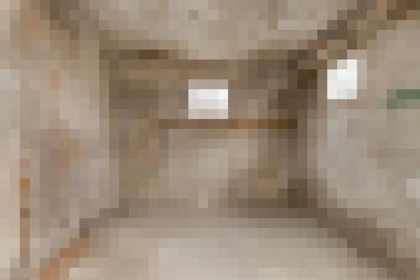 Vledderkamp 22 Vlagtwedde thumbnail 21