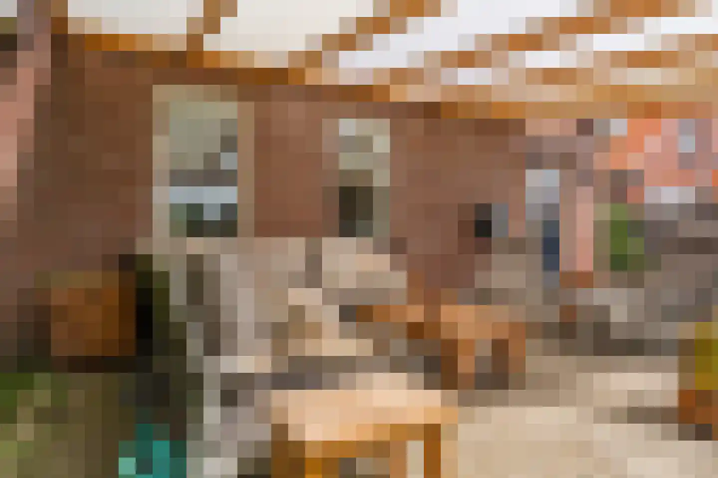 Vledderkamp 28 Vlagtwedde thumbnail 12