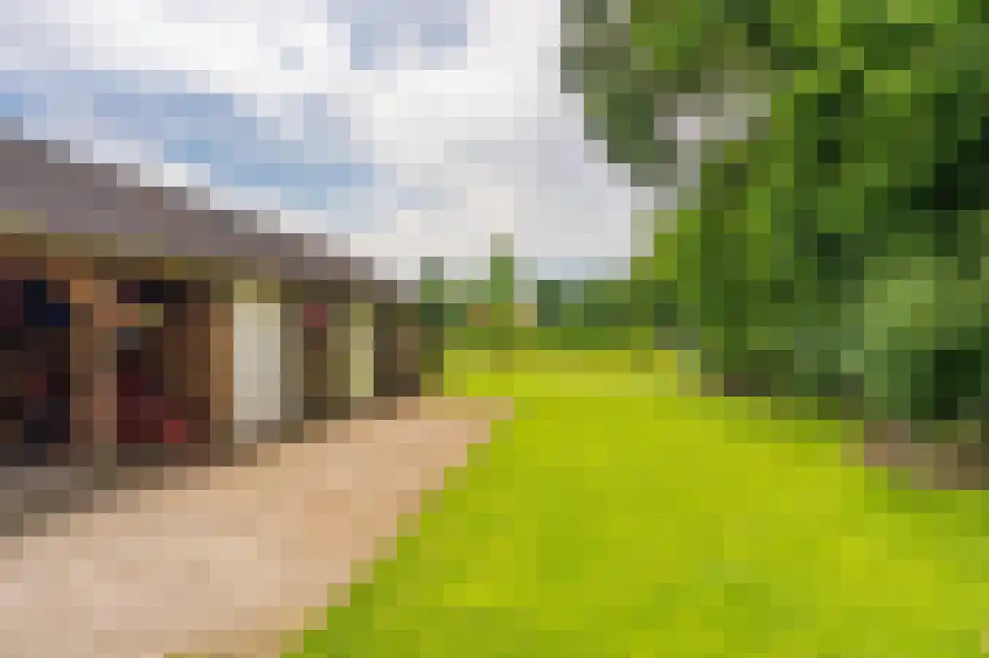 Vledderkamp 28 Vlagtwedde thumbnail 15