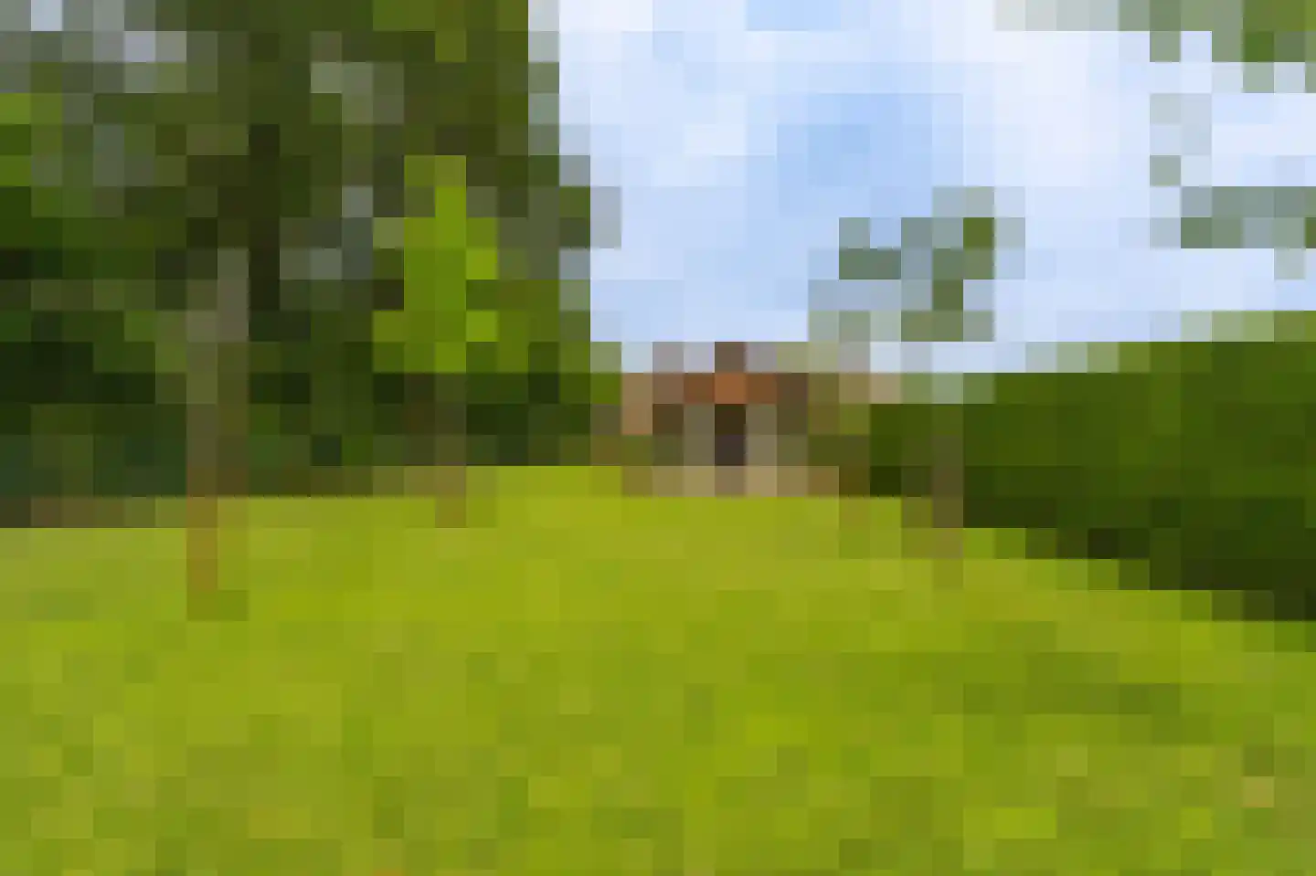 Vledderkamp 28 Vlagtwedde thumbnail 19
