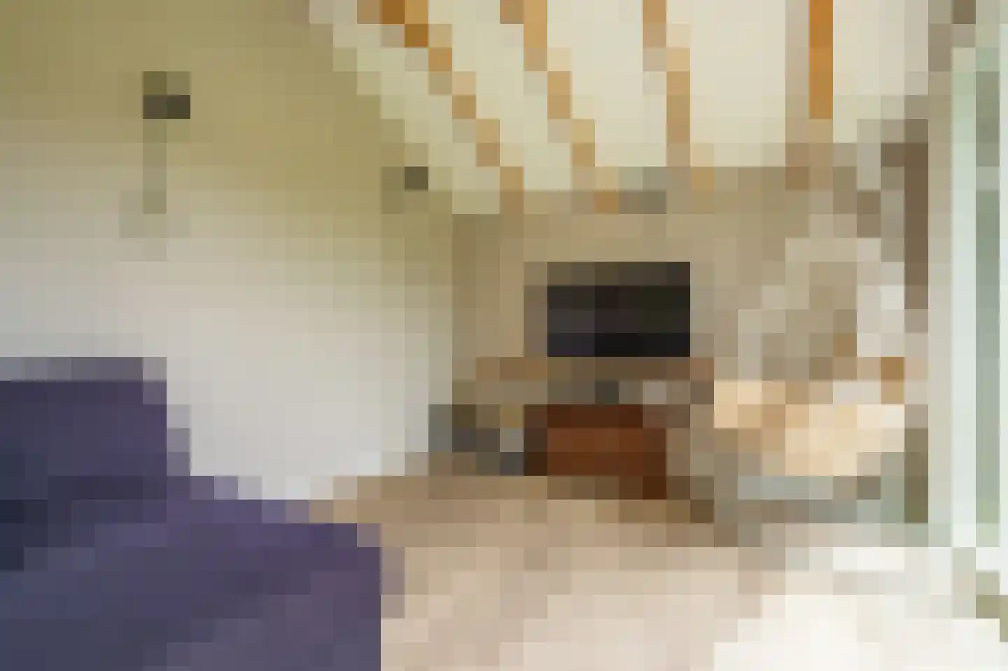 Vledderkamp 28 Vlagtwedde thumbnail 21
