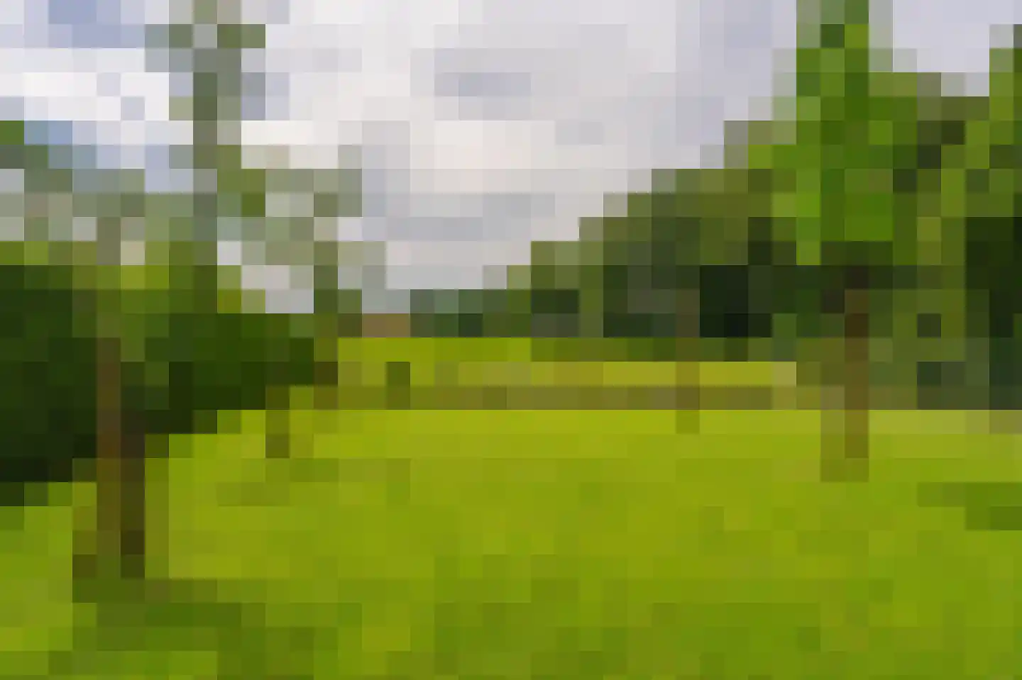 Vledderkamp 28 Vlagtwedde thumbnail 23