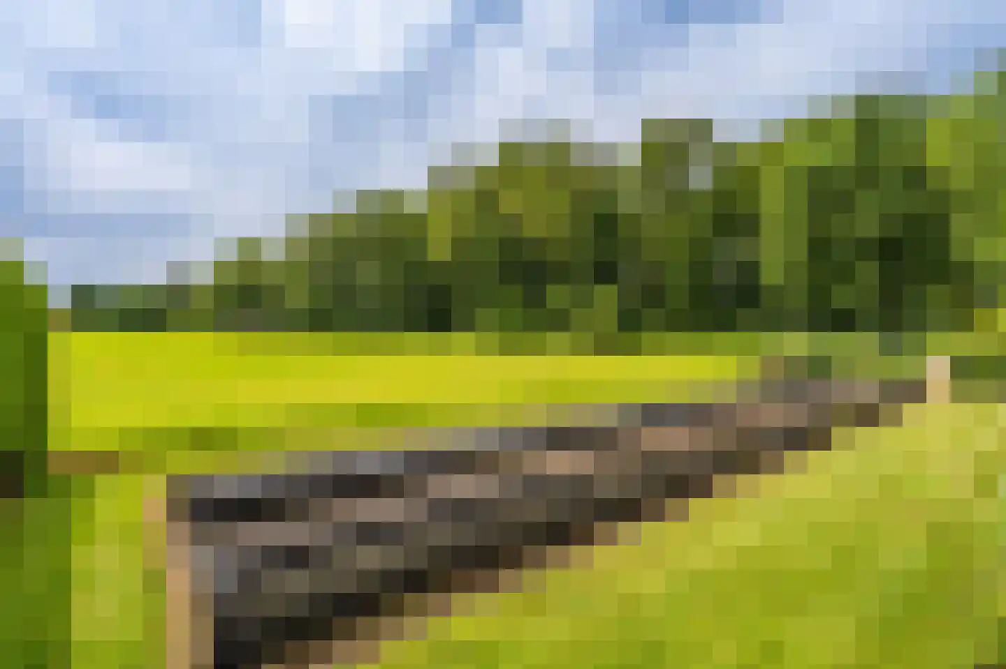 Vledderkamp 28 Vlagtwedde thumbnail 24
