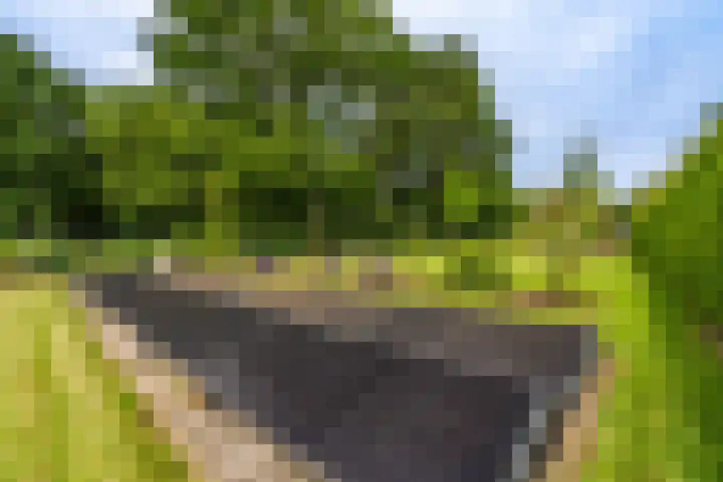 Vledderkamp 28 Vlagtwedde thumbnail 25