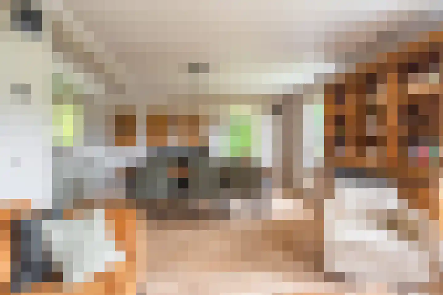 Vledderkamp 28 Vlagtwedde thumbnail 30
