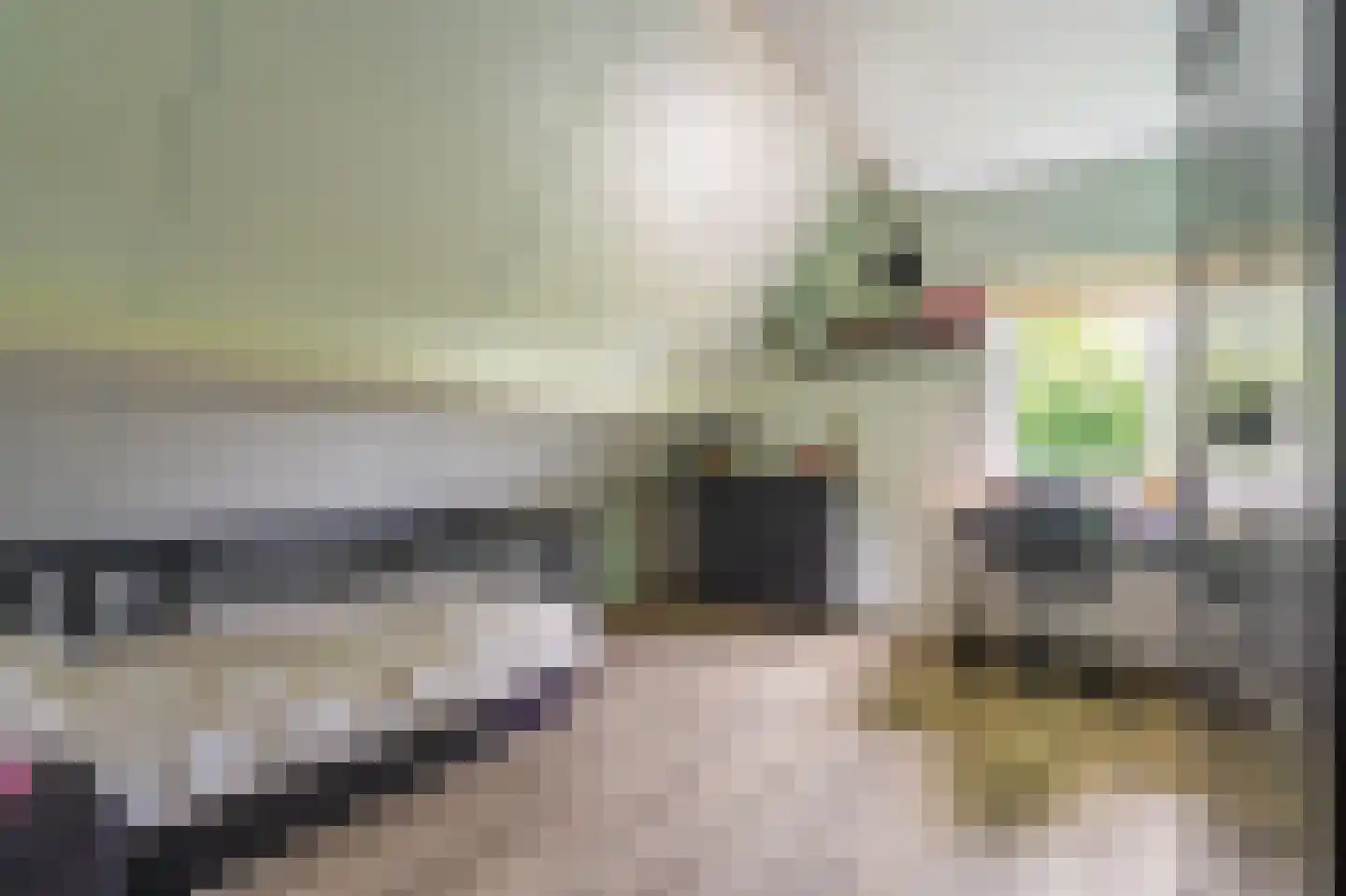 Vledderkamp 28 Vlagtwedde thumbnail 49