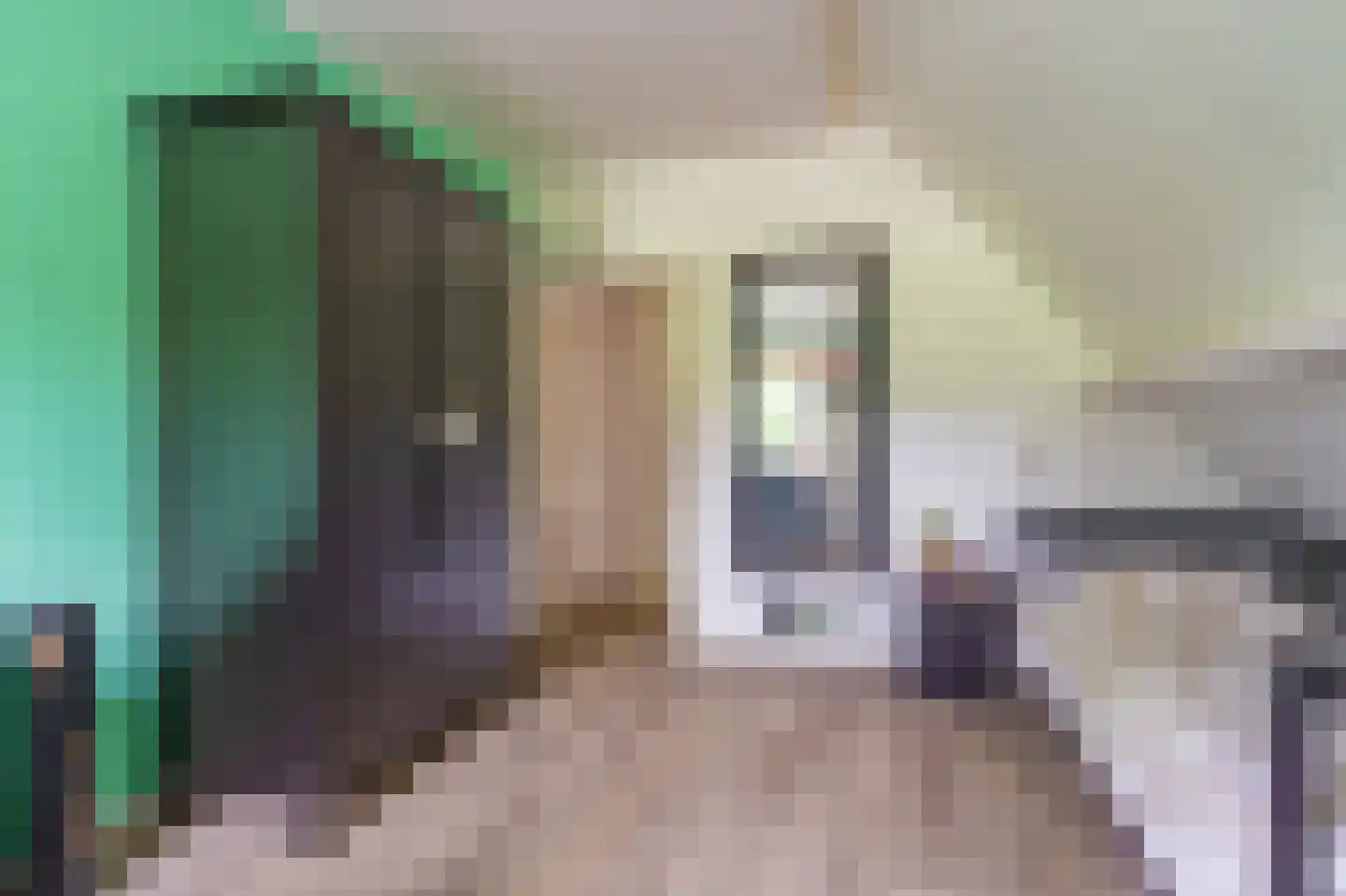Vledderkamp 28 Vlagtwedde thumbnail 50