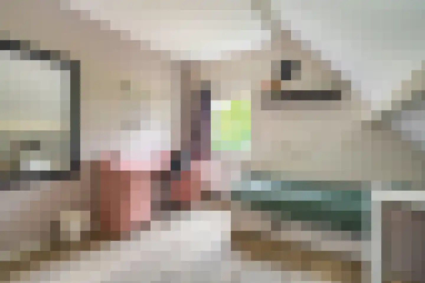 Vledderkamp 28 Vlagtwedde thumbnail 53