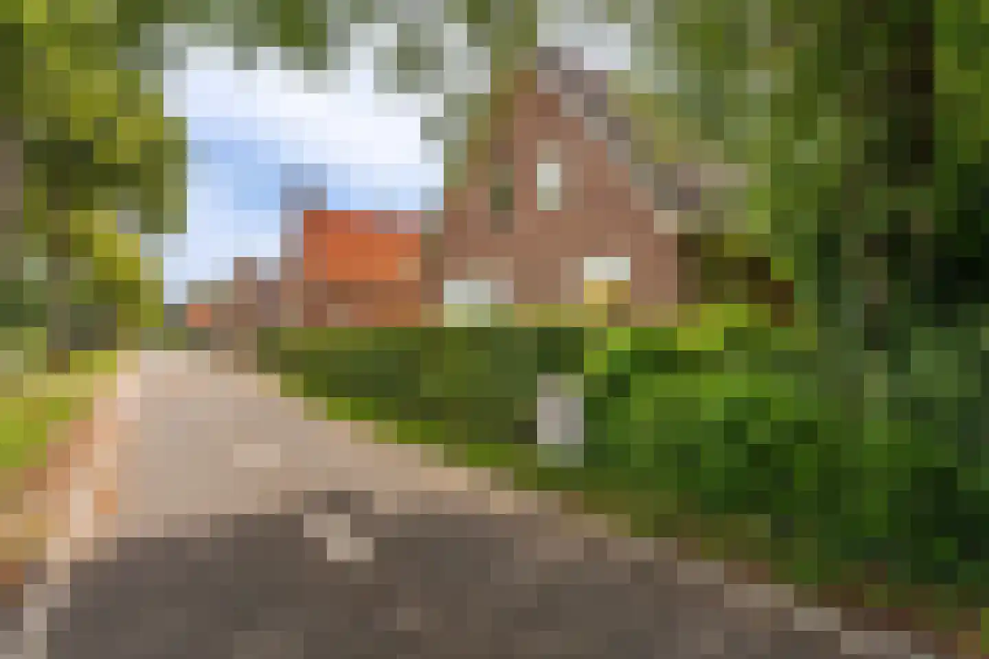 Vledderkamp 28 Vlagtwedde thumbnail 6