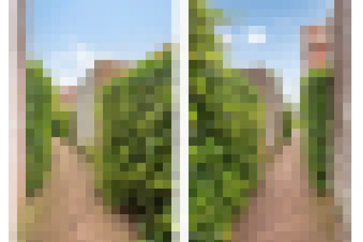 Vledderplein 22 Meppel thumbnail 31
