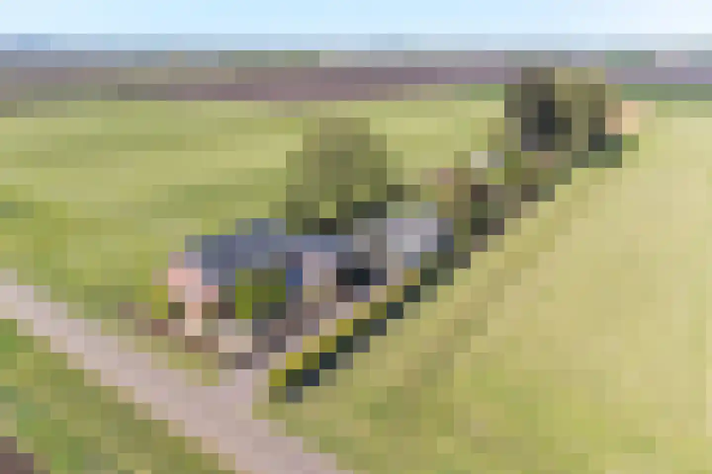 Vledders 24 Nieuw-Weerdinge