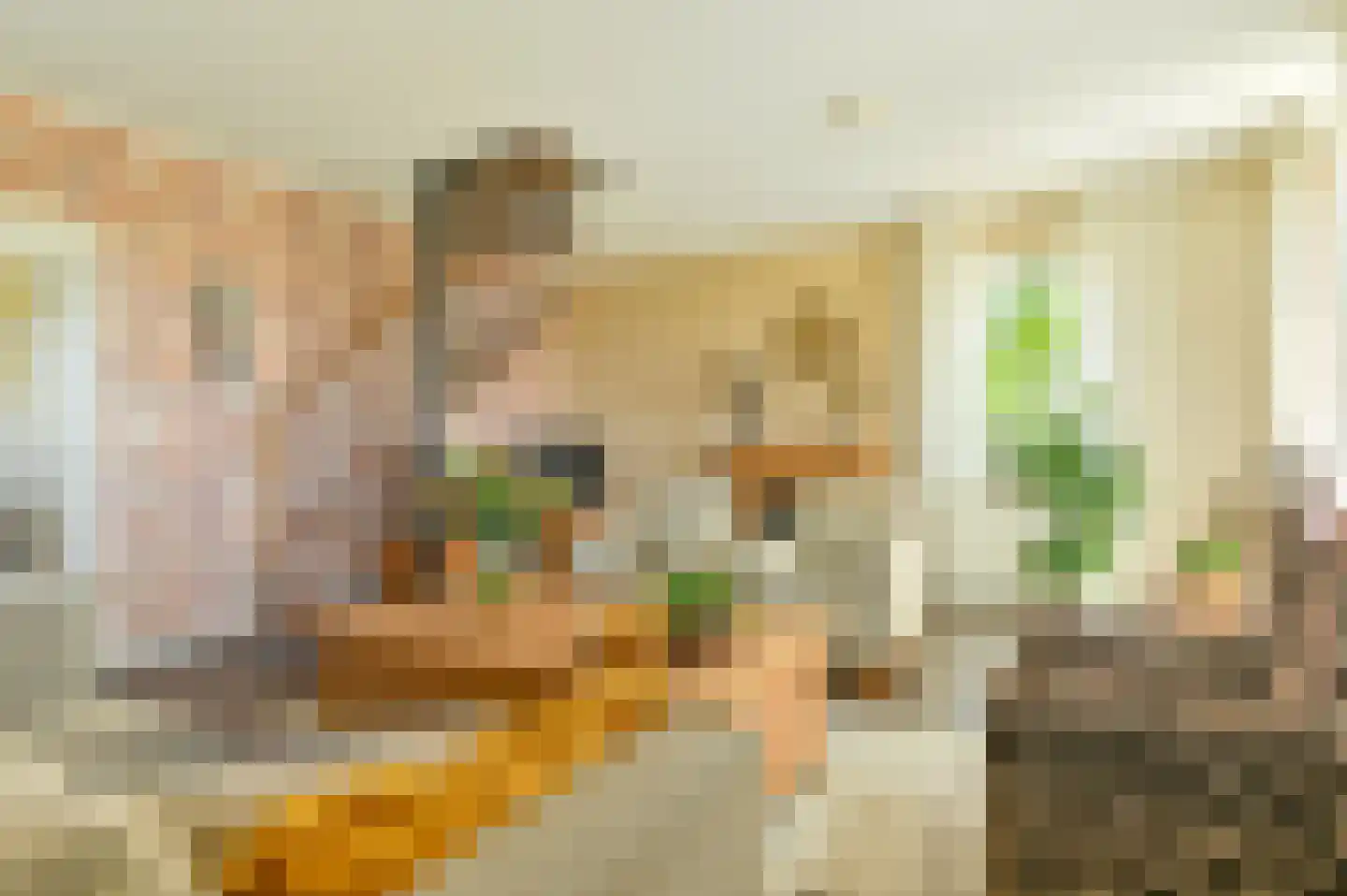 Vledders 24 Nieuw-Weerdinge thumbnail 30