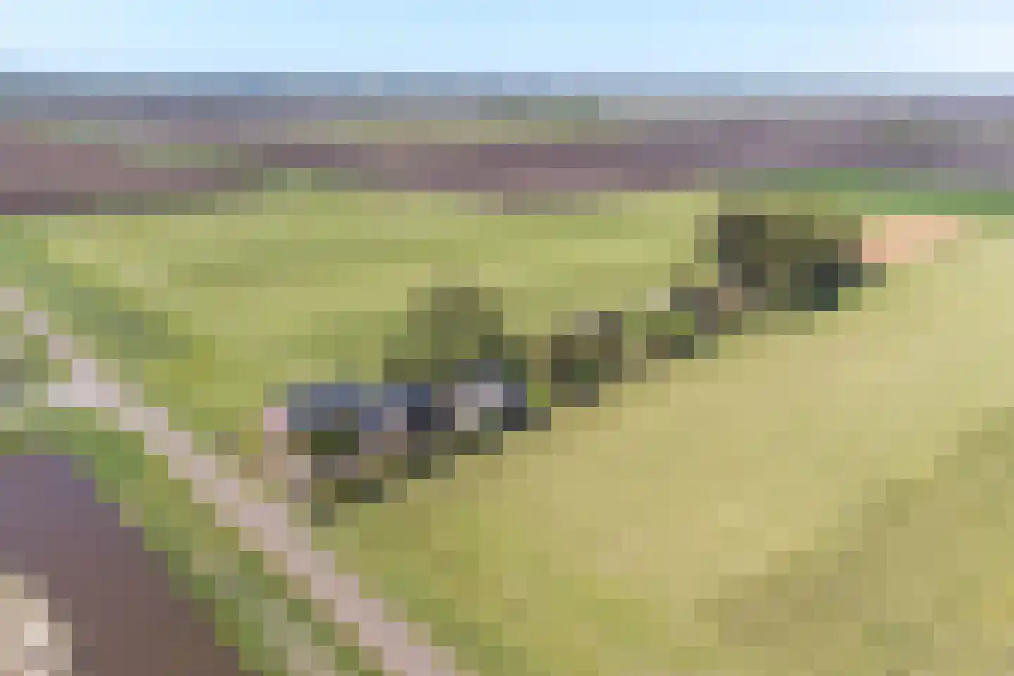 Vledders 24 Nieuw-Weerdinge thumbnail 4