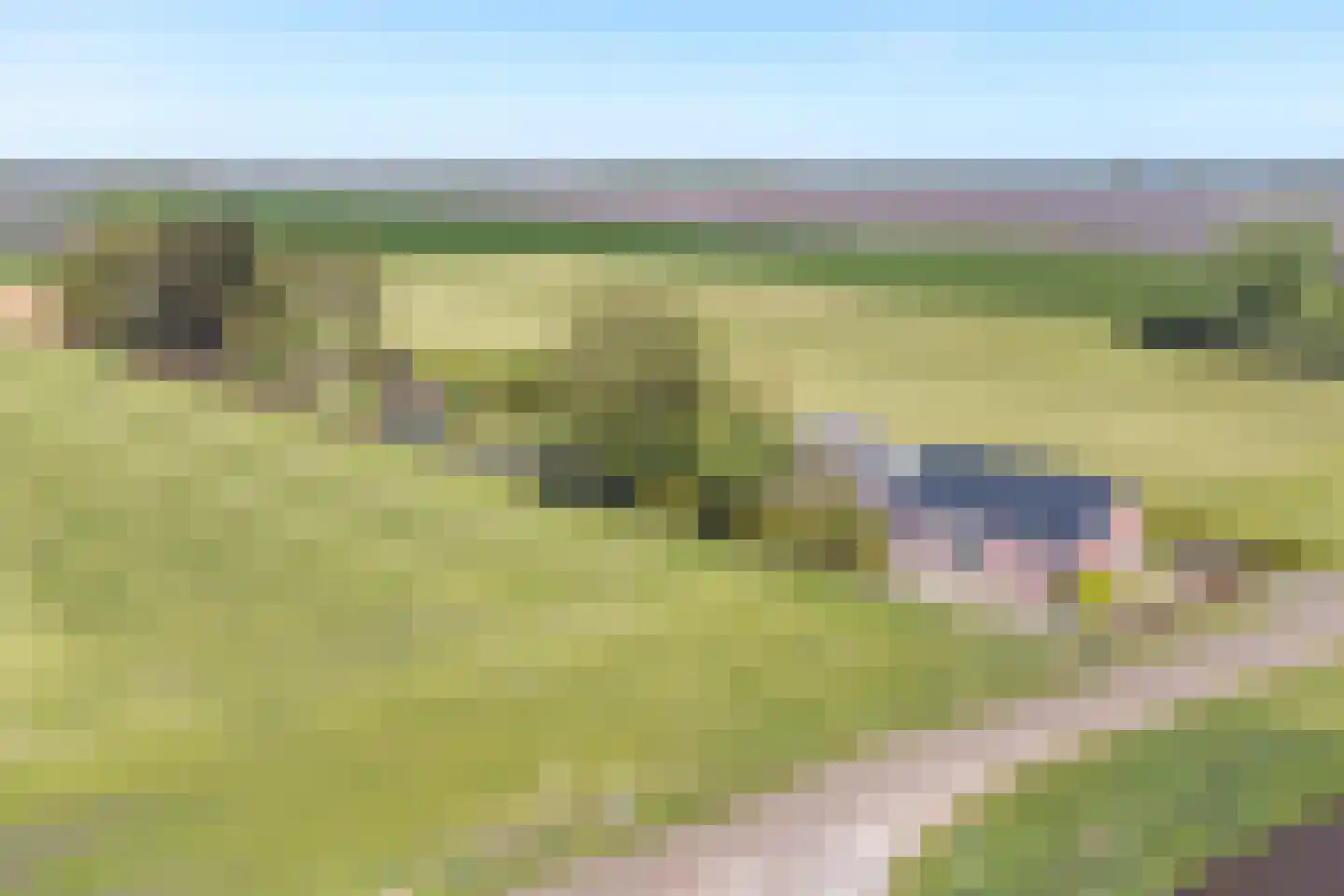 Vledders 24 Nieuw-Weerdinge thumbnail 6