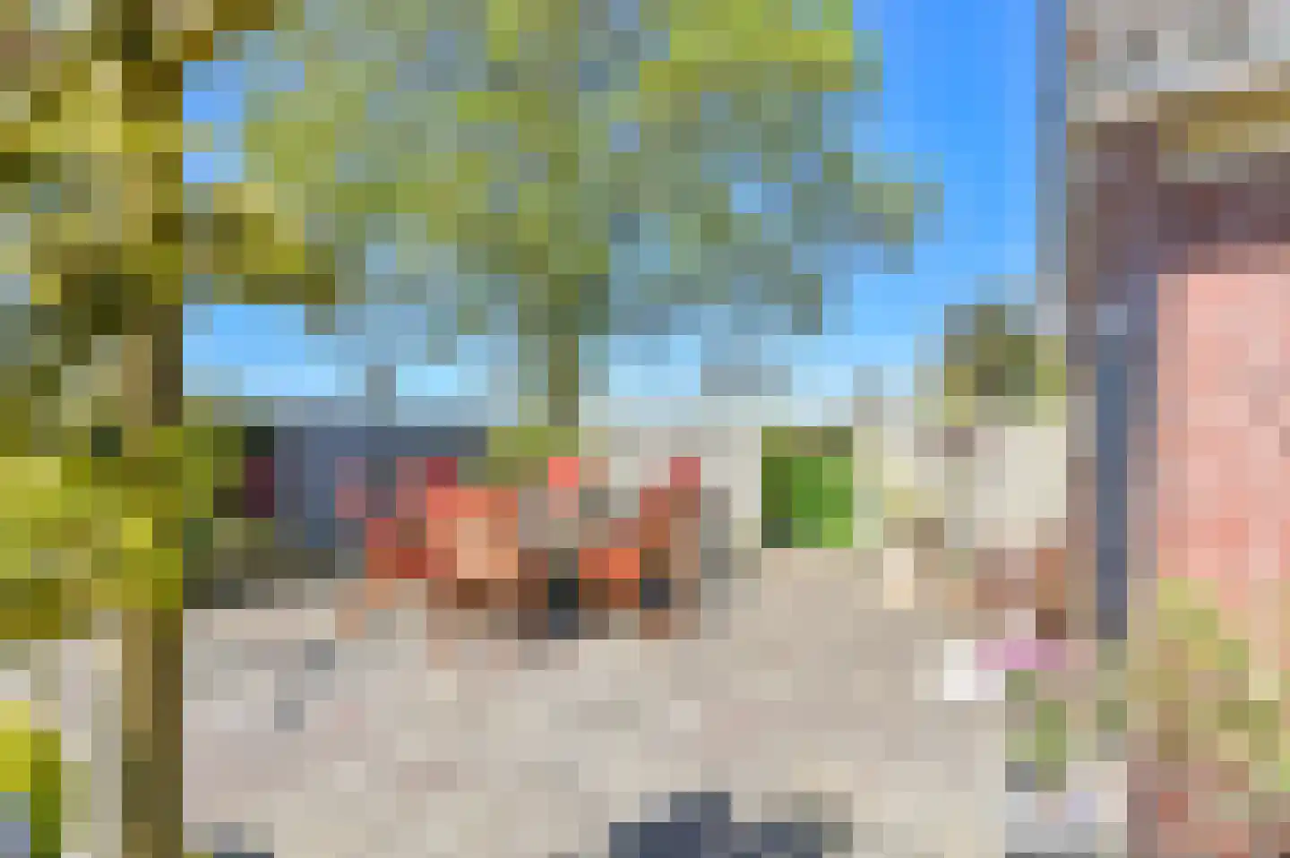 Vledders 24 Nieuw-Weerdinge thumbnail 66