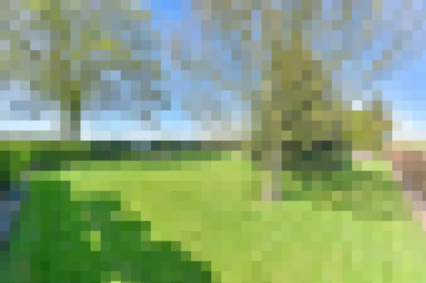 Vledders 24 Nieuw-Weerdinge thumbnail 73