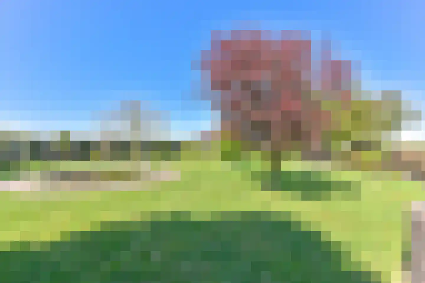 Vledders 24 Nieuw-Weerdinge thumbnail 74