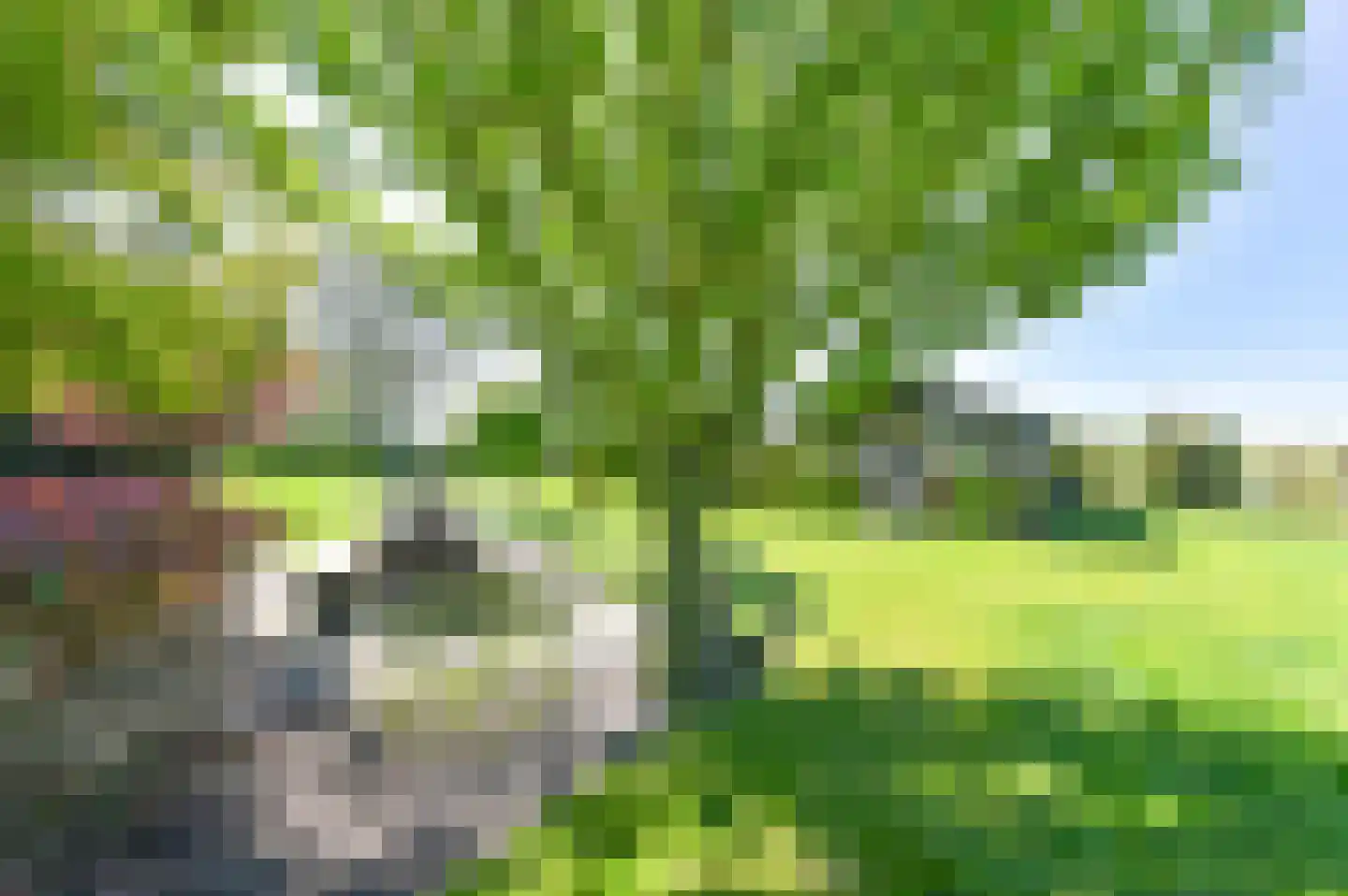 Vledders 24 Nieuw-Weerdinge thumbnail 79