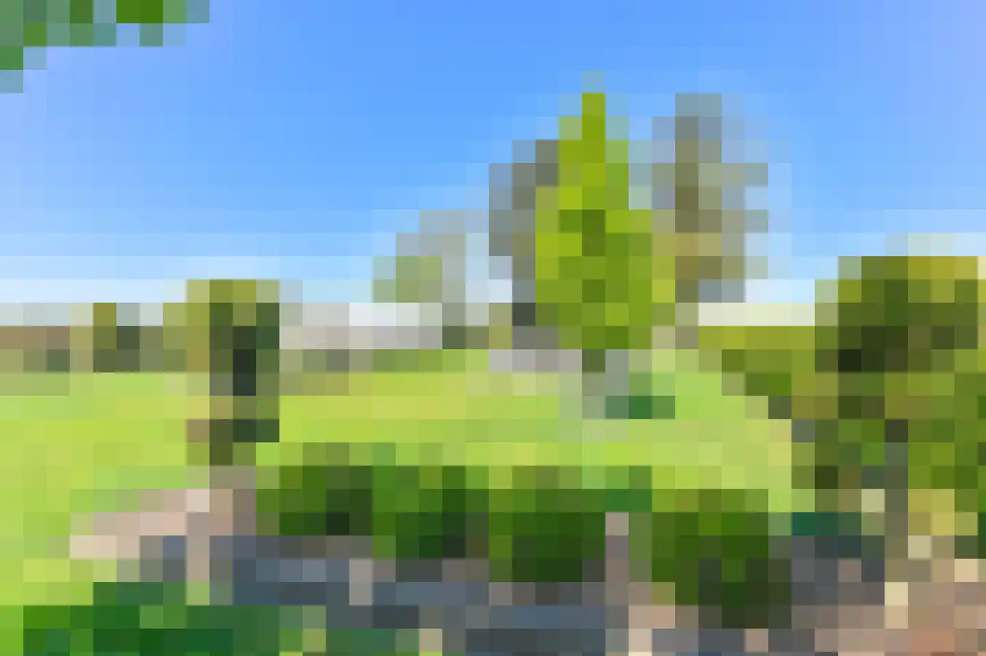 Vledders 24 Nieuw-Weerdinge thumbnail 81