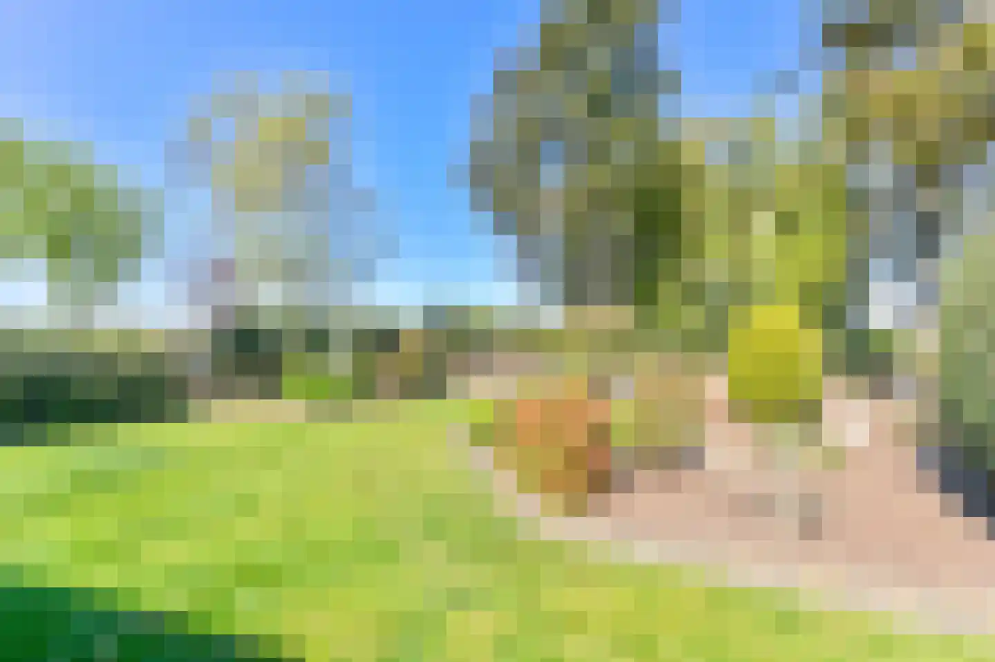 Vledders 24 Nieuw-Weerdinge thumbnail 87