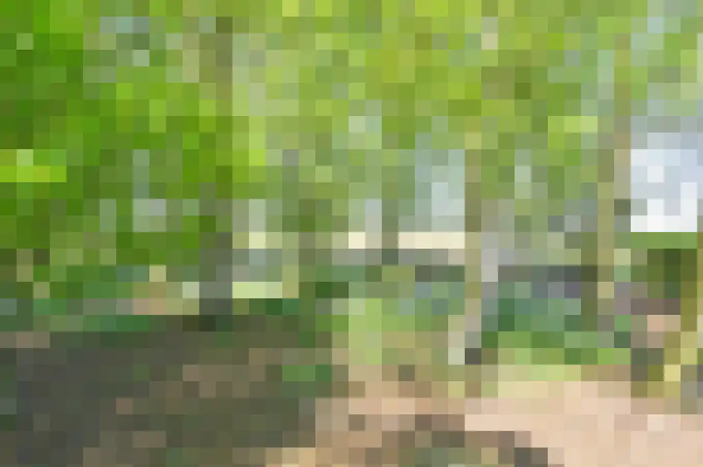 Vledders 24 Nieuw-Weerdinge thumbnail 89
