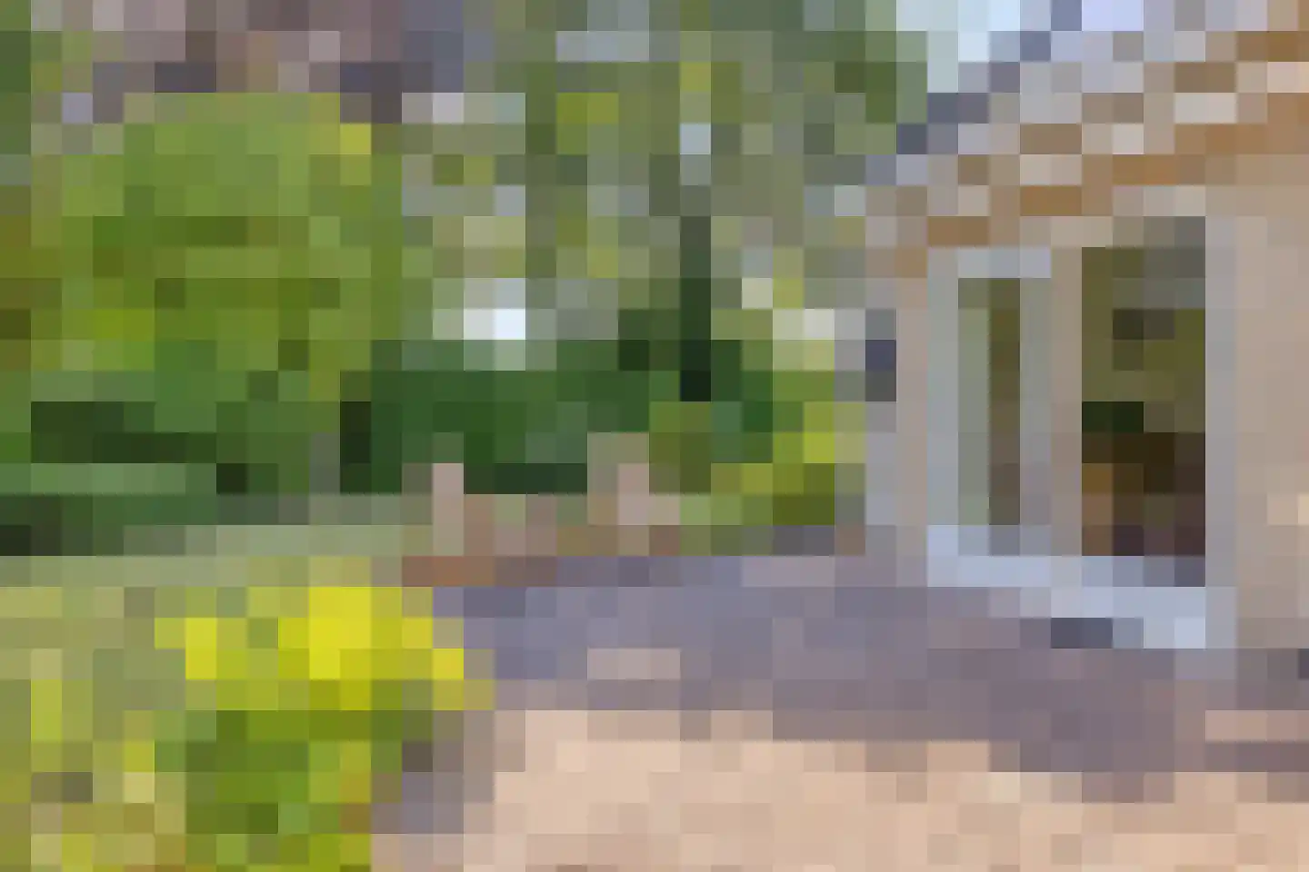 Vledders 25 Zuidbroek thumbnail 35
