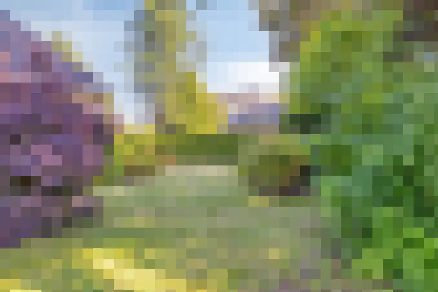 Vledders 25 Zuidbroek thumbnail 36