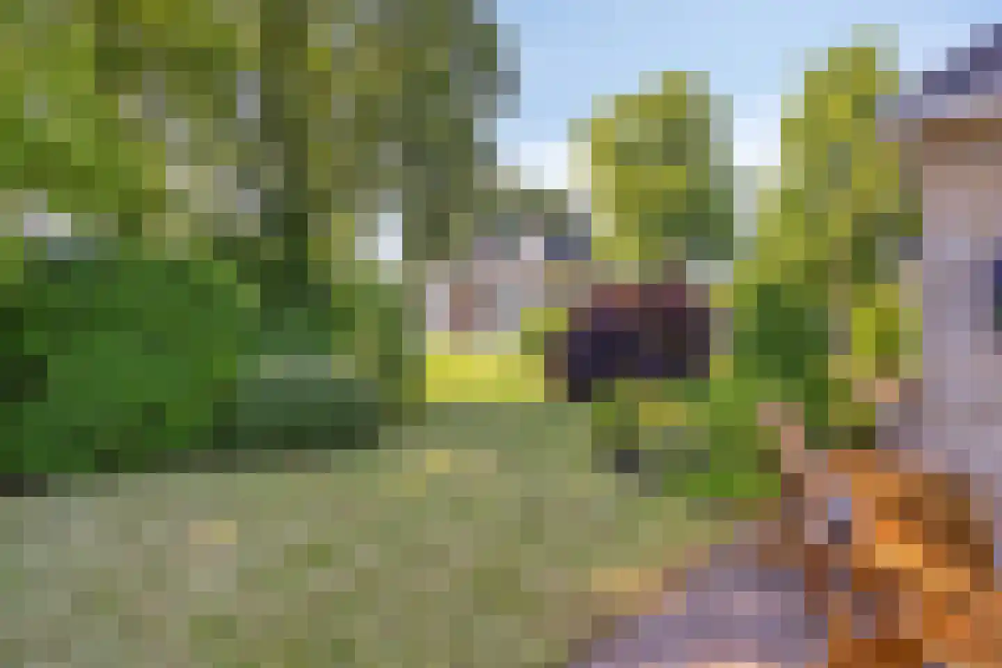 Vledders 25 Zuidbroek thumbnail 37