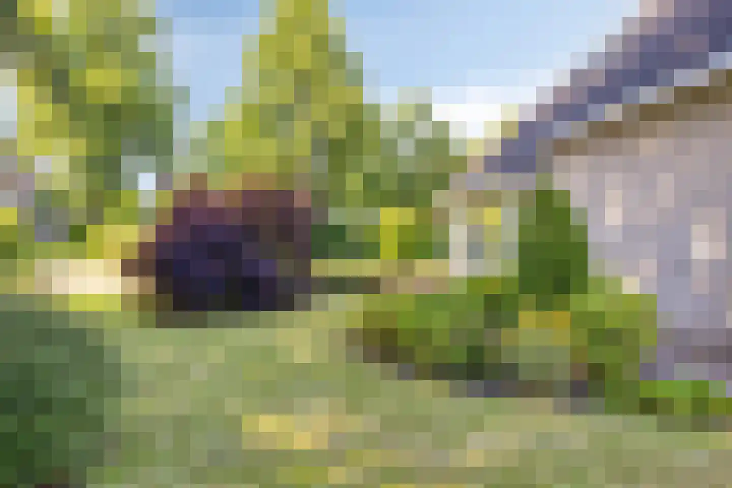 Vledders 25 Zuidbroek thumbnail 38