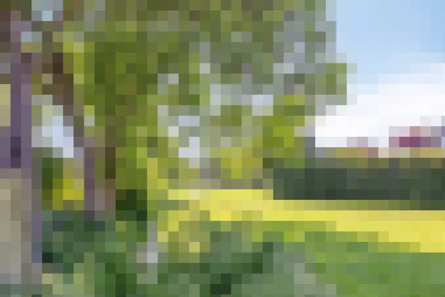 Vledders 25 Zuidbroek thumbnail 40