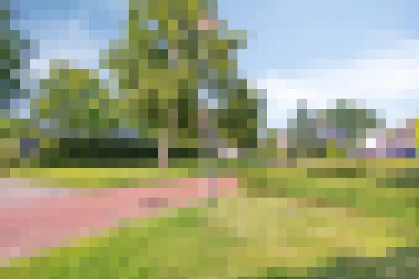 Vledders 25 Zuidbroek thumbnail 46