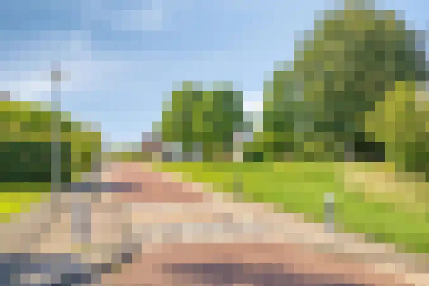 Vledders 25 Zuidbroek thumbnail 49
