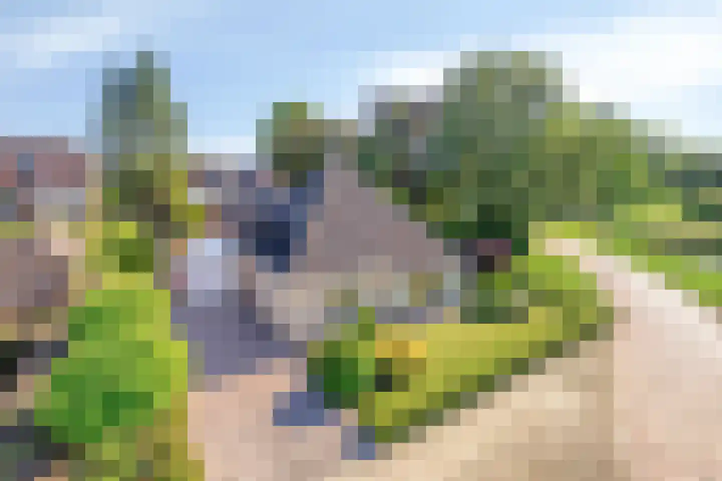 Vledders 25 Zuidbroek thumbnail 52
