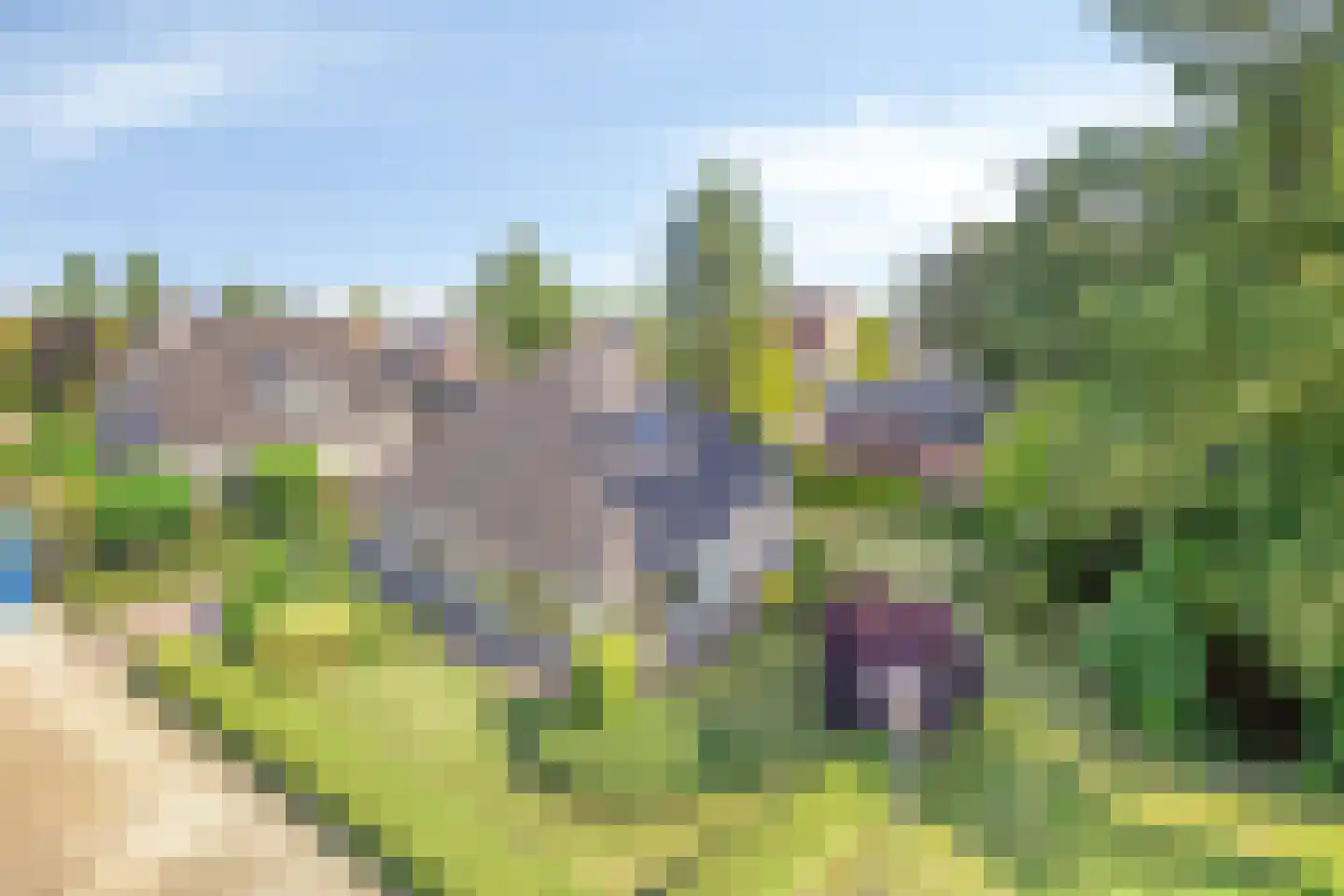 Vledders 25 Zuidbroek thumbnail 53