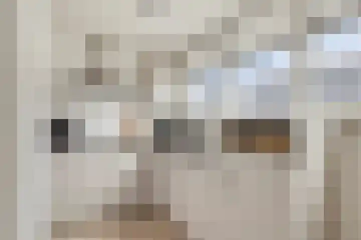 Vledderstraat 12 C Denekamp thumbnail 7