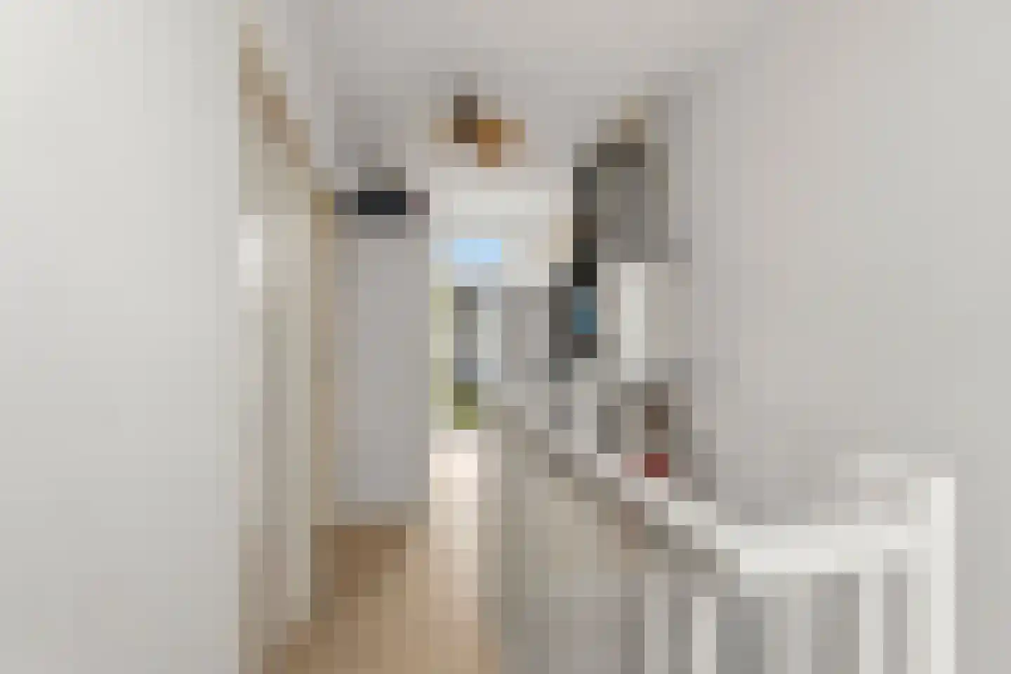 Vledderstraat 12 Den Haag thumbnail 31