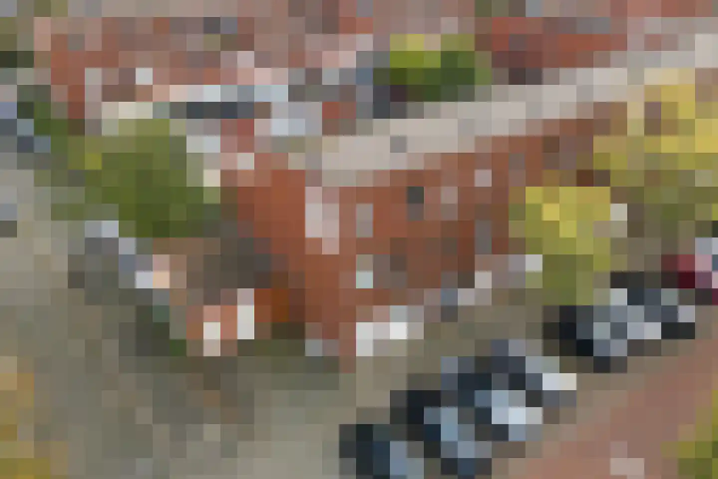 Vledderstraat 12 Den Haag thumbnail 53