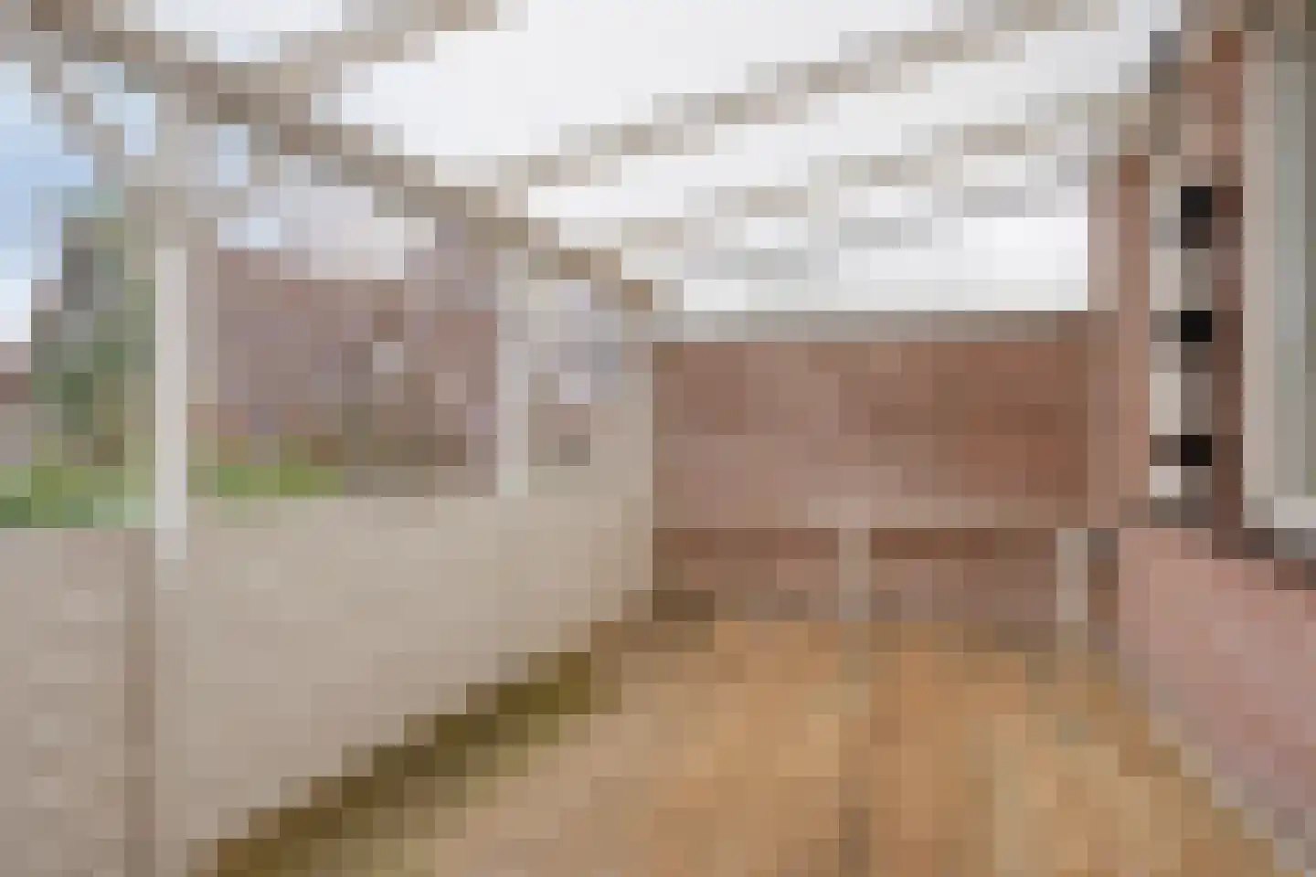 Vledderstraat 2 Meppel thumbnail 4