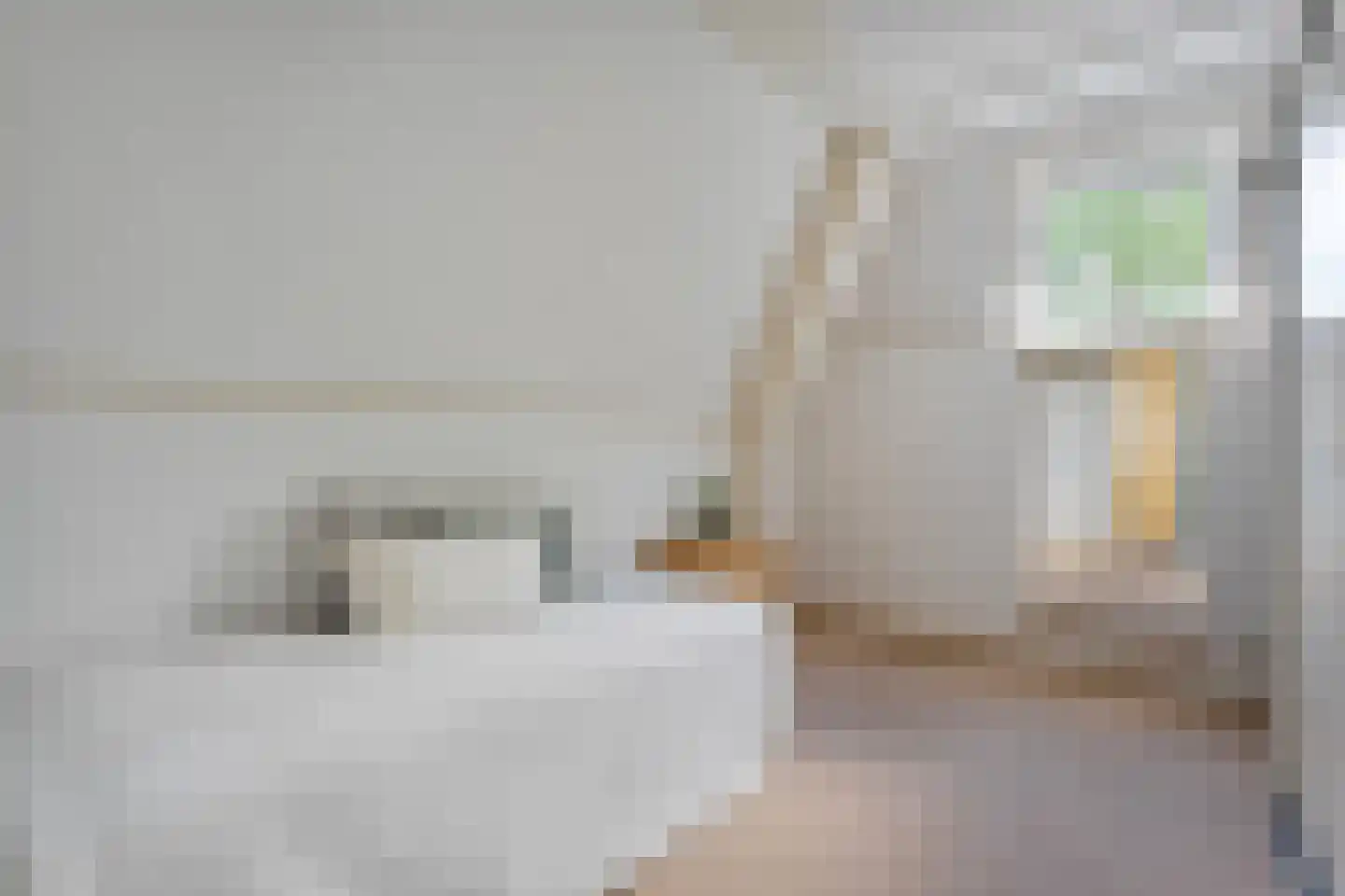 Vledderstraat 25 Denekamp thumbnail 15