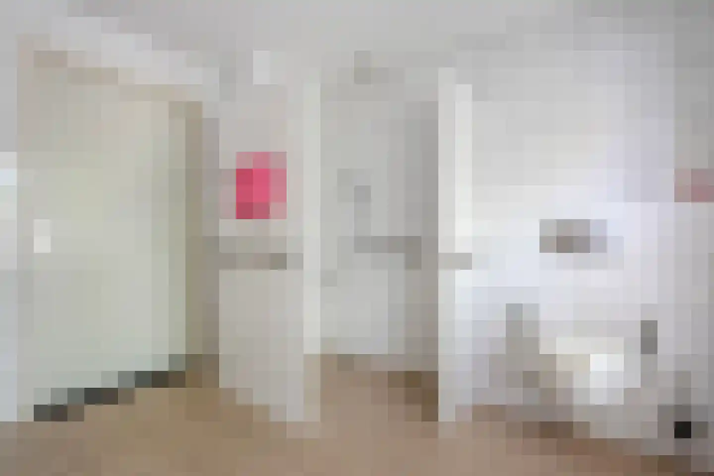 Vledderstraat 25 Denekamp thumbnail 17