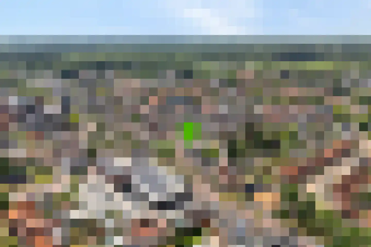 Vledderstraat 25 Denekamp thumbnail 22