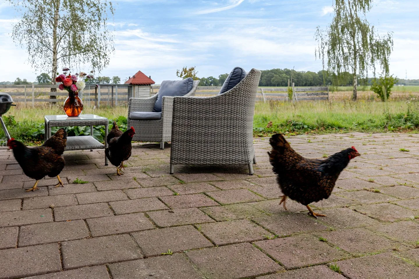 Vleddersweg 4 Holsloot thumbnail 46