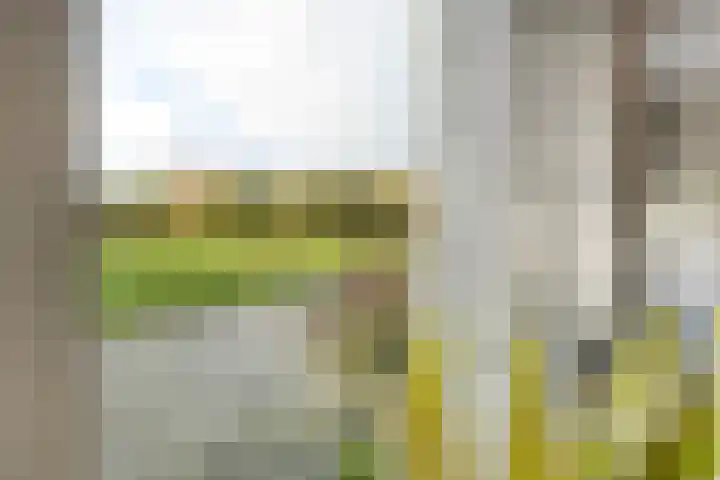 Vledderweg 24 Vledder thumbnail 41