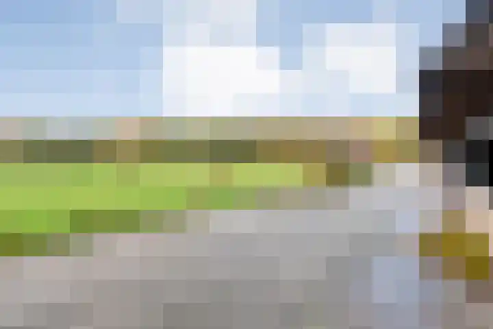 Vledderweg 24 Vledder thumbnail 53
